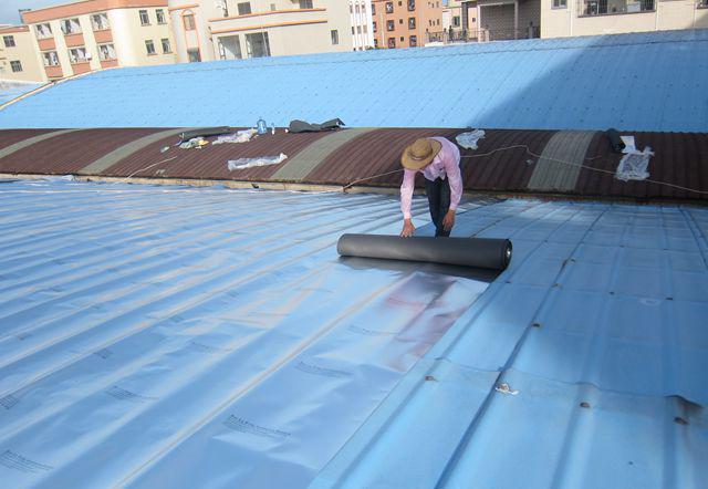 厂房防水4.jpg 厂房防水4.jpg